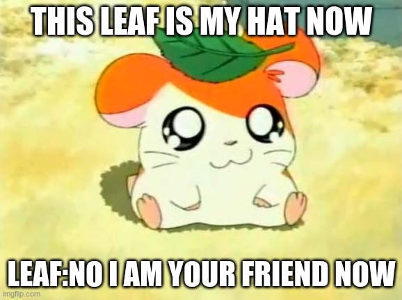 Hamtaro Meme | THIS LEAF IS MY HAT NOW; LEAF:NO I AM YOUR FRIEND NOW | image tagged in memes,hamtaro | made w/ Imgflip meme maker