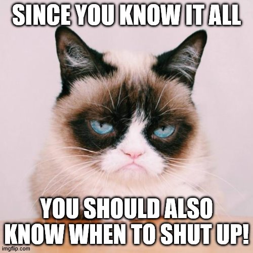 SInce you know it all | SINCE YOU KNOW IT ALL; YOU SHOULD ALSO KNOW WHEN TO SHUT UP! | image tagged in grumpy cat again | made w/ Imgflip meme maker