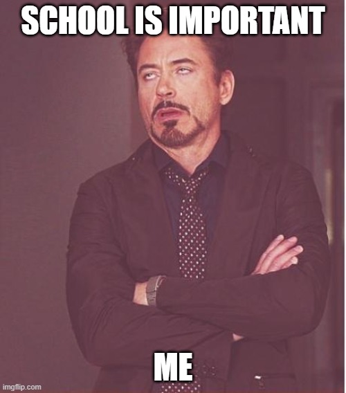Face You Make Robert Downey Jr Meme | SCHOOL IS IMPORTANT; ME | image tagged in memes,face you make robert downey jr | made w/ Imgflip meme maker
