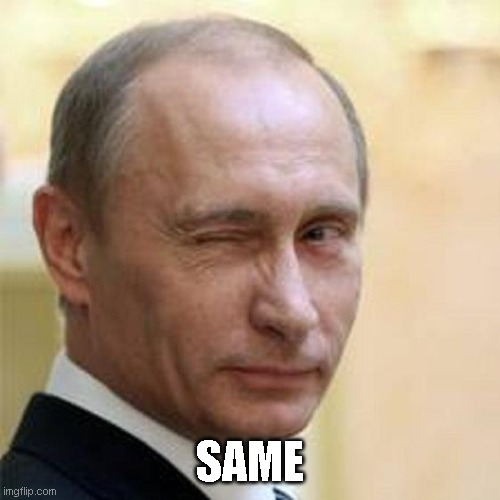 Putin Winking | SAME | image tagged in putin winking | made w/ Imgflip meme maker