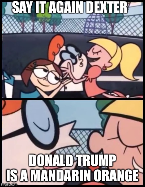 Say it Again, Dexter | SAY IT AGAIN DEXTER; DONALD TRUMP IS A MANDARIN ORANGE | image tagged in memes,say it again dexter | made w/ Imgflip meme maker