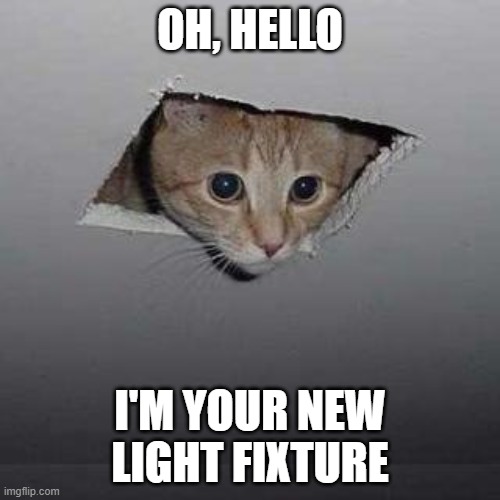 It doesnt need any further description | OH, HELLO; I'M YOUR NEW LIGHT FIXTURE | image tagged in memes,ceiling cat | made w/ Imgflip meme maker
