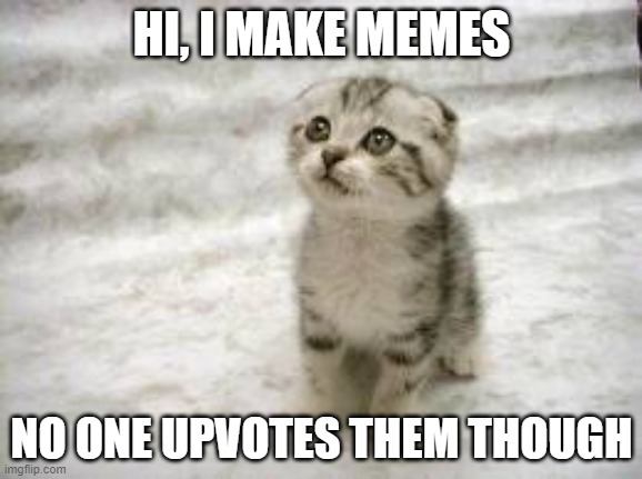 true dat | HI, I MAKE MEMES; NO ONE UPVOTES THEM THOUGH | image tagged in memes,sad cat | made w/ Imgflip meme maker
