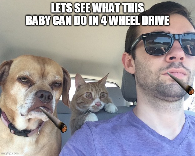 4-wheel drive | LETS SEE WHAT THIS BABY CAN DO IN 4 WHEEL DRIVE | image tagged in dogs an cats,fun | made w/ Imgflip meme maker