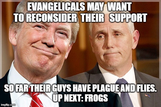 Trump & Pence | EVANGELICALS MAY  WANT  TO RECONSIDER  THEIR   SUPPORT; SO FAR THEIR GUYS HAVE PLAGUE AND FLIES.
UP NEXT: FROGS | image tagged in trump pence | made w/ Imgflip meme maker