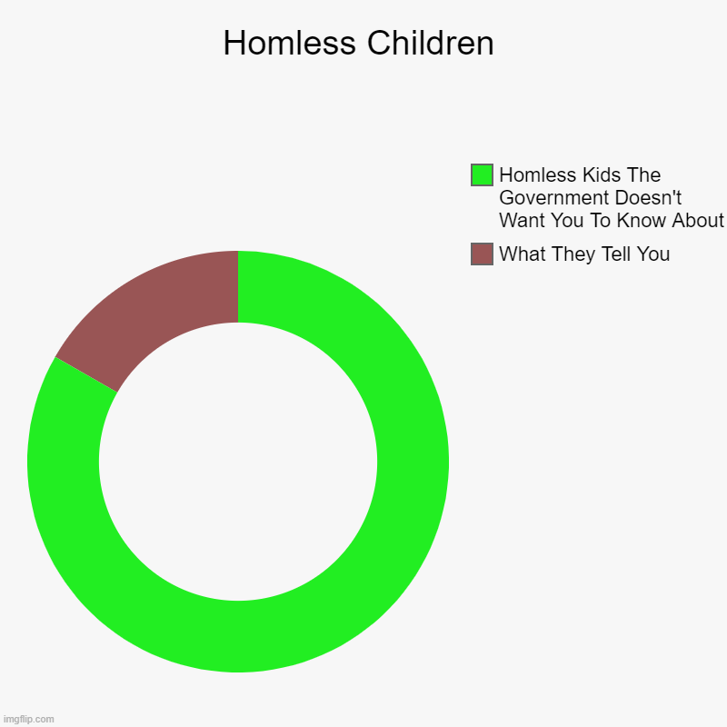 The Homeless | Homless Children | What They Tell You, Homless Kids The Government Doesn't Want You To Know About | image tagged in charts,donut charts | made w/ Imgflip chart maker
