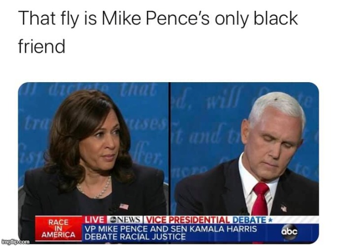 oof. one of the best such memes i've seen. lol (repost) | image tagged in mike pence's only black friend,fly,racism,debate,debates,mike pence | made w/ Imgflip meme maker