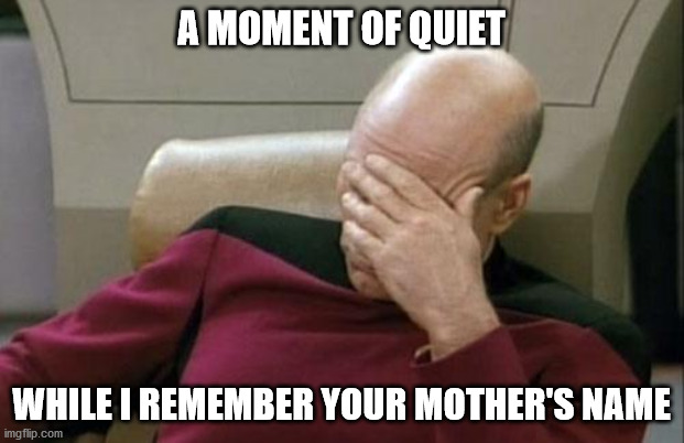 Captain Picard Facepalm Meme | A MOMENT OF QUIET; WHILE I REMEMBER YOUR MOTHER'S NAME | image tagged in memes,captain picard facepalm | made w/ Imgflip meme maker
