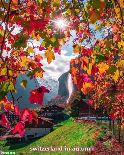 neat photo, neat country | switzerland in autumn | image tagged in lauterbrunnen valley,switzerland,autumn leaves,leaves,photography,autumn | made w/ Imgflip meme maker