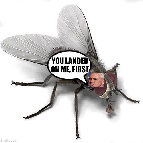 Mike Pence on a fly... | YOU LANDED ON ME, FIRST | image tagged in scumbag house fly,mike pence,fly | made w/ Imgflip meme maker