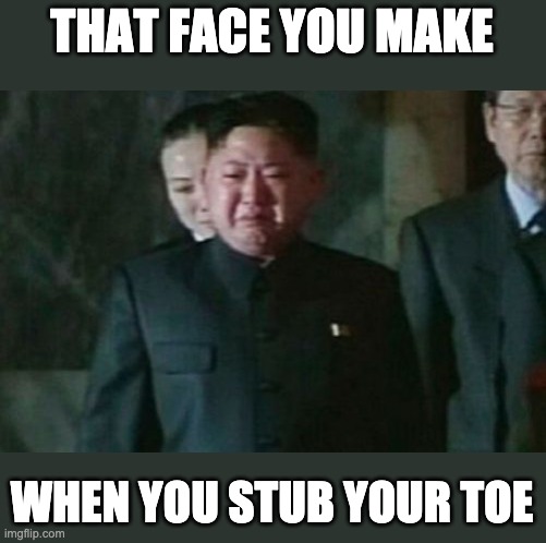 Kim Jong Un Sad Meme | THAT FACE YOU MAKE; WHEN YOU STUB YOUR TOE | image tagged in memes,kim jong un sad | made w/ Imgflip meme maker