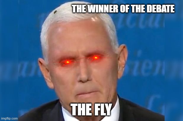Congratulations! | THE WINNER OF THE DEBATE; THE FLY | image tagged in mike pence fly debate,politics,funny but true,distraction | made w/ Imgflip meme maker