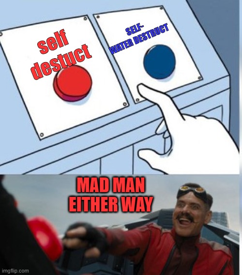 Two Buttons Eggman | SELF- WATER DESTRUCT; self destuct; MAD MAN
EITHER WAY | image tagged in two buttons eggman | made w/ Imgflip meme maker