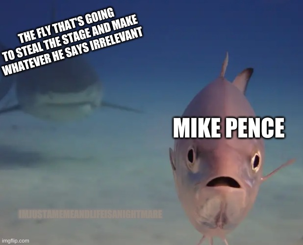 Steal the Stage Fly | THE FLY THAT'S GOING TO STEAL THE STAGE AND MAKE WHATEVER HE SAYS IRRELEVANT; MIKE PENCE; IMJUSTAMEMEANDLIFEISANIGHTMARE | image tagged in mike pence,fly,the man behind the slaughter | made w/ Imgflip meme maker