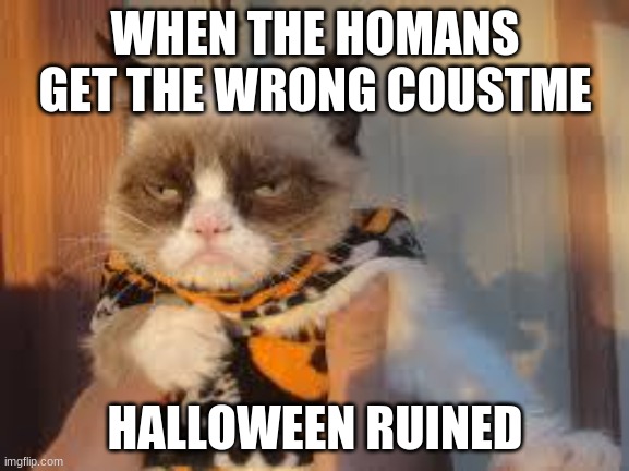 Grumpy Cat Halloween | WHEN THE HOMANS GET THE WRONG COUSTME; HALLOWEEN RUINED | image tagged in memes,grumpy cat halloween,grumpy cat | made w/ Imgflip meme maker