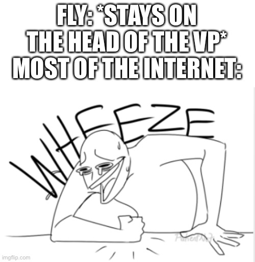 wheeze | FLY: *STAYS ON THE HEAD OF THE VP*
MOST OF THE INTERNET: | image tagged in wheeze | made w/ Imgflip meme maker