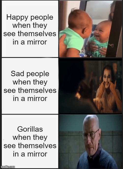 Panik Kalm Panik | Happy people when they see themselves in a mirror; Sad people when they see themselves in a mirror; Gorillas when they see themselves in a mirror | image tagged in memes,panik kalm panik | made w/ Imgflip meme maker