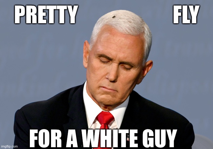All the ladies say | PRETTY                        FLY; FOR A WHITE GUY | image tagged in mike pence,fly,debate | made w/ Imgflip meme maker
