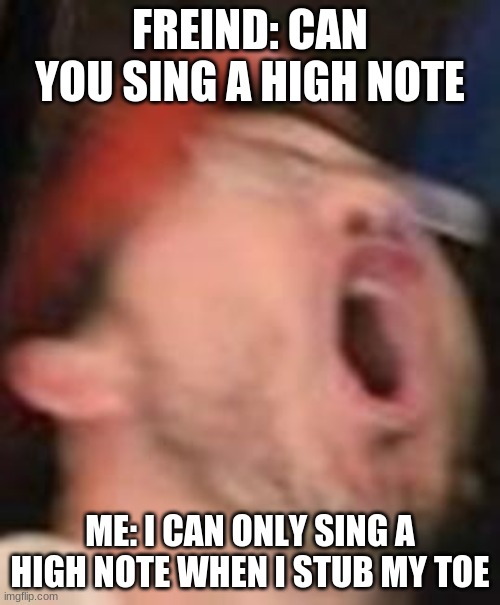 Stub toe high note | FREIND: CAN YOU SING A HIGH NOTE; ME: I CAN ONLY SING A HIGH NOTE WHEN I STUB MY TOE | image tagged in stub toe | made w/ Imgflip meme maker