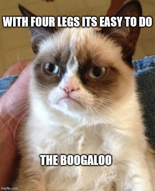 Grumpy Cat | WITH FOUR LEGS ITS EASY TO DO; THE BOOGALOO | image tagged in memes,grumpy cat | made w/ Imgflip meme maker