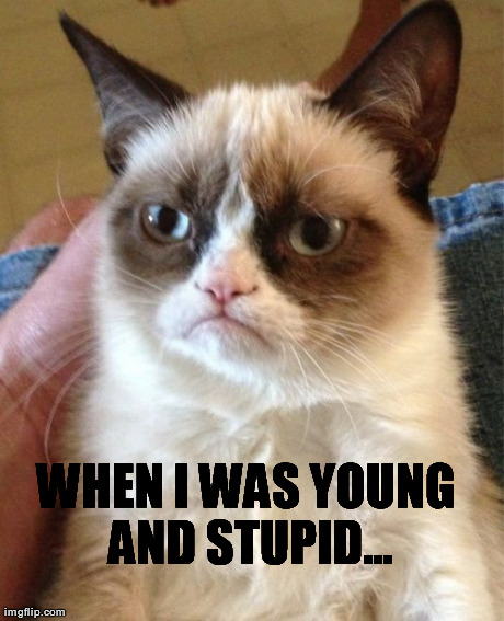 Grumpy Cat Meme | WHEN I WAS YOUNG AND STUPID... | image tagged in memes,grumpy cat | made w/ Imgflip meme maker