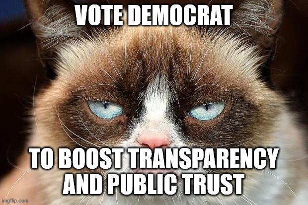 Grumpy Cat Not Amused Meme | VOTE DEMOCRAT; TO BOOST TRANSPARENCY AND PUBLIC TRUST | image tagged in memes,grumpy cat not amused,grumpy cat | made w/ Imgflip meme maker