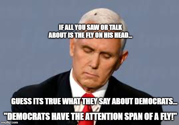 Pence Fly |  IF ALL YOU SAW OR TALK ABOUT IS THE FLY ON HIS HEAD... GUESS ITS TRUE WHAT THEY SAY ABOUT DEMOCRATS... "DEMOCRATS HAVE THE ATTENTION SPAN OF A FLY!" | image tagged in pence fly,pence,fly,so true memes,memes | made w/ Imgflip meme maker