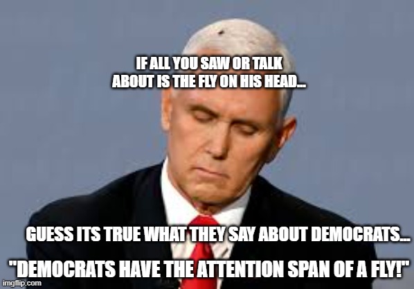 Pence Fly | IF ALL YOU SAW OR TALK ABOUT IS THE FLY ON HIS HEAD... GUESS ITS TRUE WHAT THEY SAY ABOUT DEMOCRATS... "DEMOCRATS HAVE THE ATTENTION SPAN OF A FLY!" | image tagged in pence fly,pence,fly,so true memes,memes | made w/ Imgflip meme maker