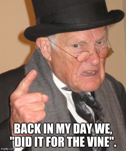 Back In My Day Meme | BACK IN MY DAY WE, "DID IT FOR THE VINE". | image tagged in memes,back in my day | made w/ Imgflip meme maker