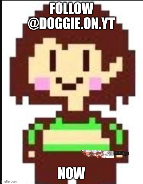 Chara undertale  | FOLLOW @DOGGIE.ON.YT NOW | image tagged in chara undertale | made w/ Imgflip meme maker