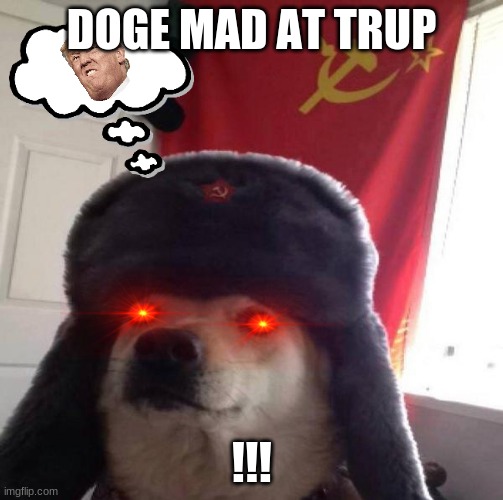 Russian Doge | DOGE MAD AT TRUP; !!! | image tagged in russian doge | made w/ Imgflip meme maker