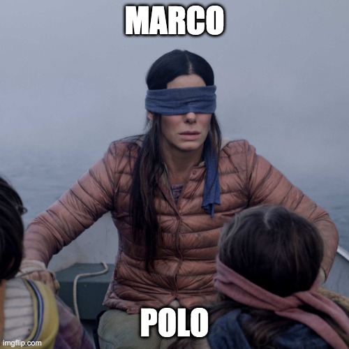 Bird Box Meme | MARCO; POLO | image tagged in memes,bird box | made w/ Imgflip meme maker