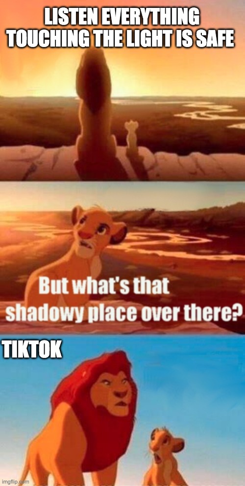 Simba Shadowy Place | LISTEN EVERYTHING TOUCHING THE LIGHT IS SAFE; TIKTOK | image tagged in memes,simba shadowy place | made w/ Imgflip meme maker