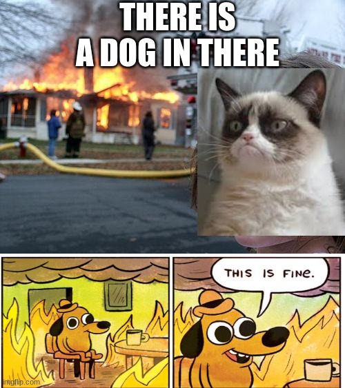 crossover time | THERE IS A DOG IN THERE | image tagged in memes,disaster girl,grumpy cat,this is fine,crossover | made w/ Imgflip meme maker