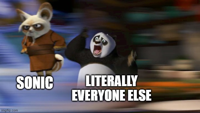 This is fine | SONIC; LITERALLY EVERYONE ELSE | image tagged in what's going on,sonic the hedgehog,memes,gaming,kung fu panda | made w/ Imgflip meme maker