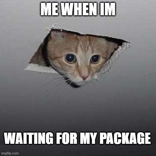 Ceiling Cat | ME WHEN IM; WAITING FOR MY PACKAGE | image tagged in memes,ceiling cat | made w/ Imgflip meme maker