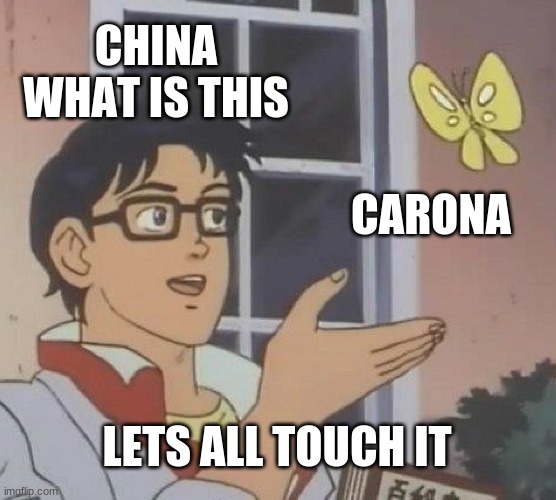 is this how it started | CHINA WHAT IS THIS; CARONA; LETS ALL TOUCH IT | image tagged in memes,is this a pigeon,carona | made w/ Imgflip meme maker