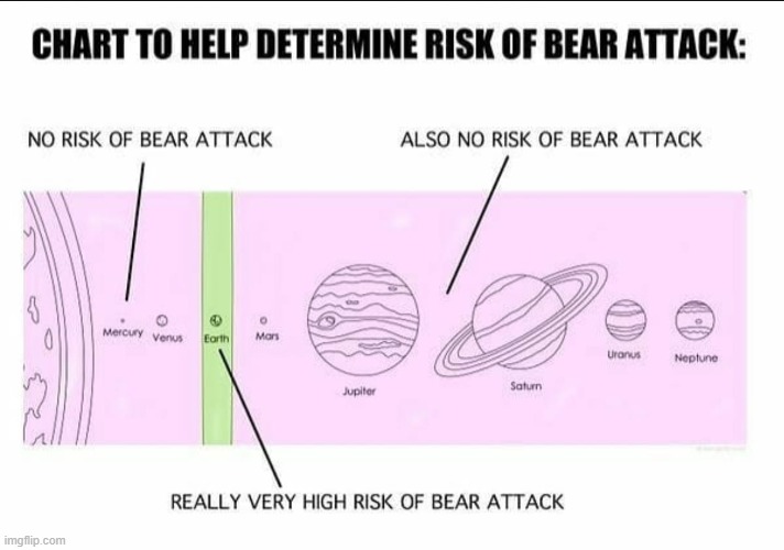 the risk of bear attack on earth is too damn high; we fully-automated gay space communism now | image tagged in risk of bear attack,bear,repost,reposts are awesome,space,earth | made w/ Imgflip meme maker