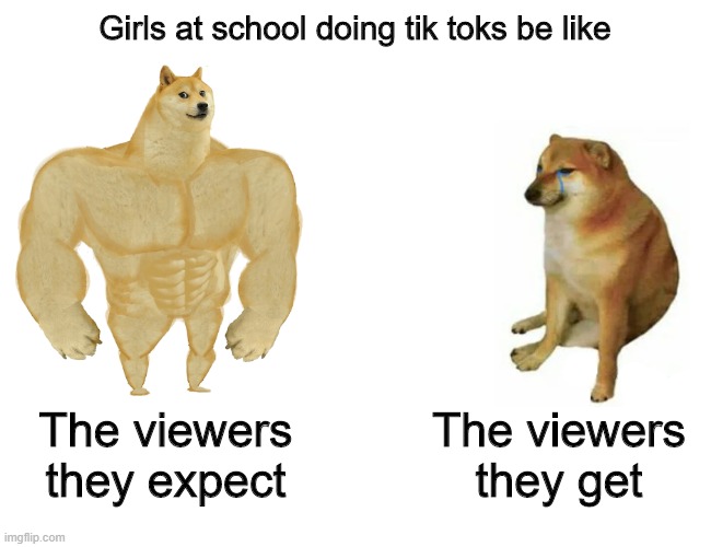 Tik tok reality | Girls at school doing tik toks be like; The viewers they expect; The viewers they get | image tagged in memes,buff doge vs cheems,tik tok | made w/ Imgflip meme maker