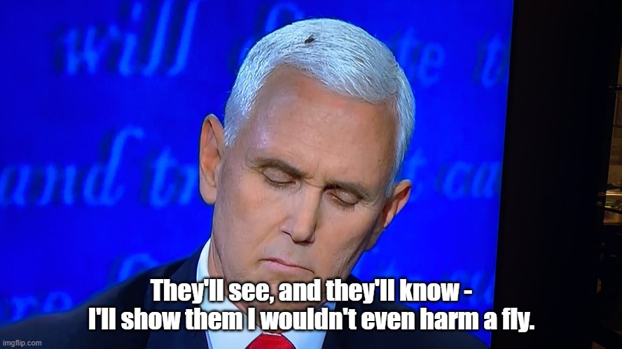 Pence and Norman Bates' fly | They'll see, and they'll know - I'll show them I wouldn't even harm a fly. | image tagged in pence,fly,norman bates | made w/ Imgflip meme maker