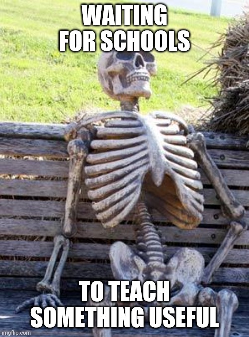 Waiting Skeleton Meme | WAITING FOR SCHOOLS TO TEACH SOMETHING USEFUL | image tagged in memes,waiting skeleton | made w/ Imgflip meme maker