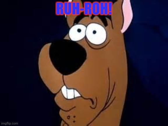 Scooby Doo Surprised | RUH-ROH! | image tagged in scooby doo surprised | made w/ Imgflip meme maker