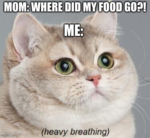 i be like | MOM: WHERE DID MY FOOD GO?! ME: | image tagged in memes,heavy breathing cat | made w/ Imgflip meme maker