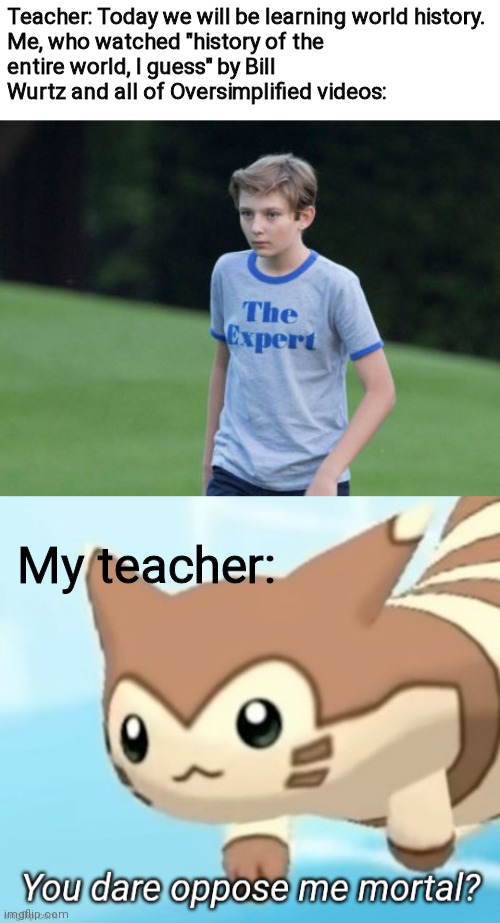 Teacher: Today we will be learning world history.

Me, who watched "history of the entire world, I guess" by Bill Wurtz and all of Oversimplified videos:; My teacher: | image tagged in the expert,furret you dare oppose me mortal | made w/ Imgflip meme maker