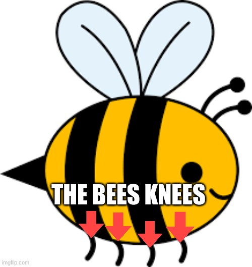 this is stupid | THE BEES KNEES | image tagged in bees | made w/ Imgflip meme maker
