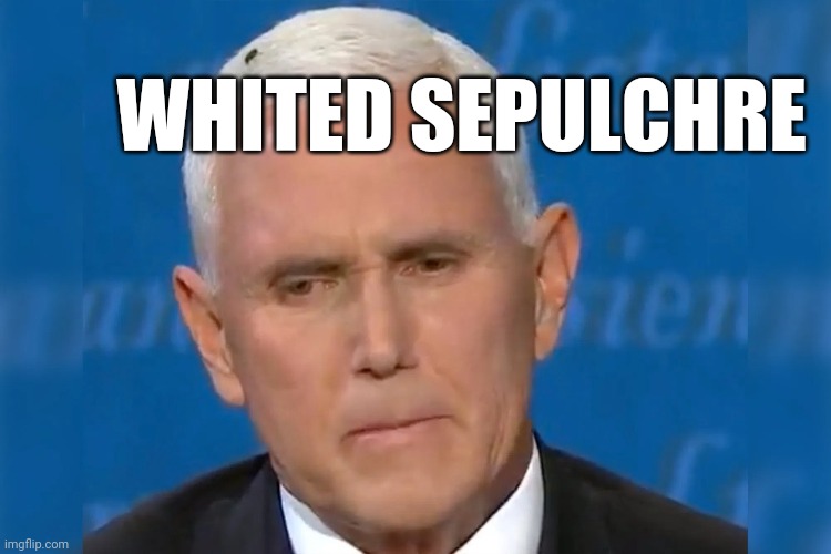Matthew 23 | WHITED SEPULCHRE | image tagged in pence fly,gop hypocrite,dirty mind,lord of the flies | made w/ Imgflip meme maker