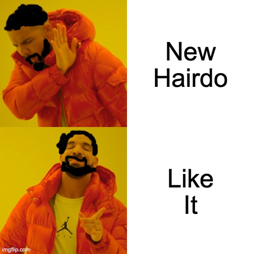 Drake Got Hairdo | New Hairdo; Like It | image tagged in memes,drake hotline bling | made w/ Imgflip meme maker