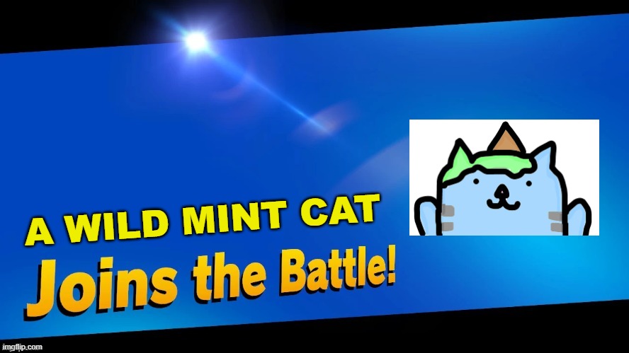 Blank Joins the battle | A WILD MINT CAT | image tagged in blank joins the battle | made w/ Imgflip meme maker