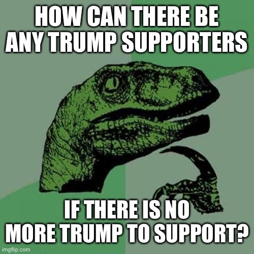 Hmmm | HOW CAN THERE BE ANY TRUMP SUPPORTERS; IF THERE IS NO MORE TRUMP TO SUPPORT? | image tagged in memes,philosoraptor,political meme | made w/ Imgflip meme maker