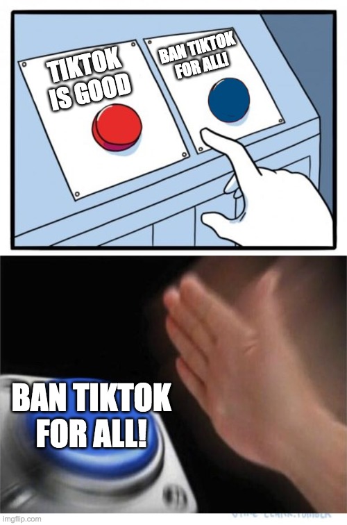 two buttons 1 blue | BAN TIKTOK FOR ALL! TIKTOK IS GOOD; BAN TIKTOK FOR ALL! | image tagged in two buttons 1 blue | made w/ Imgflip meme maker